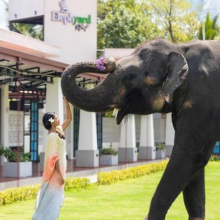 Hotel Elephyard Retreat Mahiyanganaya Zewnętrze zdjęcie
